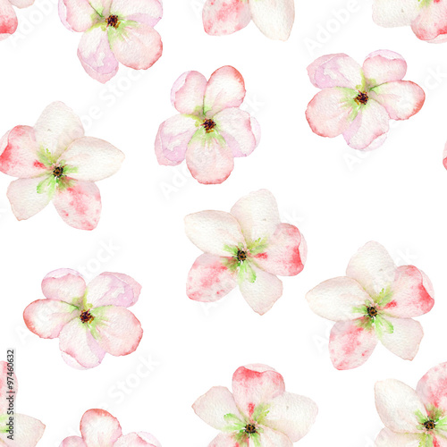 A seamless floral pattern with the tender pink apple tree blooming flowers  painted in a watercolor on a white background