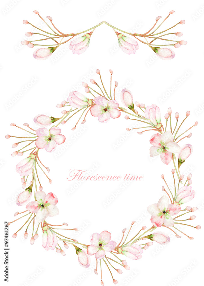 Frame border, garland and wreath of the tender pink blooming flowers, painted in a watercolor on a white background, greeting card, decoration postcard or invitation