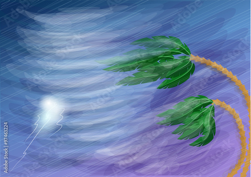 hurricane and palm