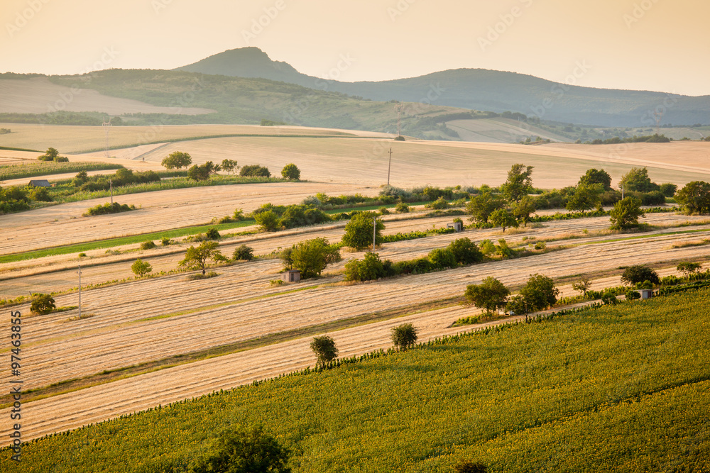 Fototapeta premium Aerial view of agricultural fields
