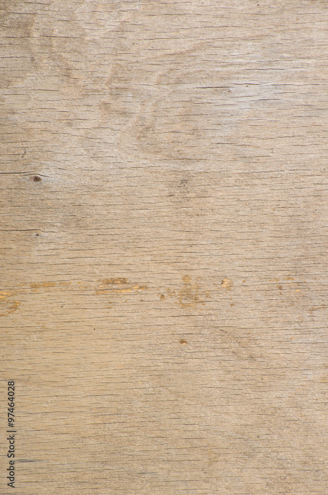 Texture of wood background closeup Texture of wood background closeup