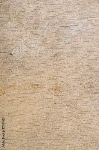 Texture of wood background closeup