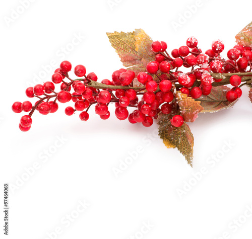 Christmas seasonal border