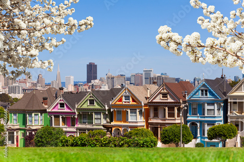 Photography Spring photo of Painted ladies and San Francisco s