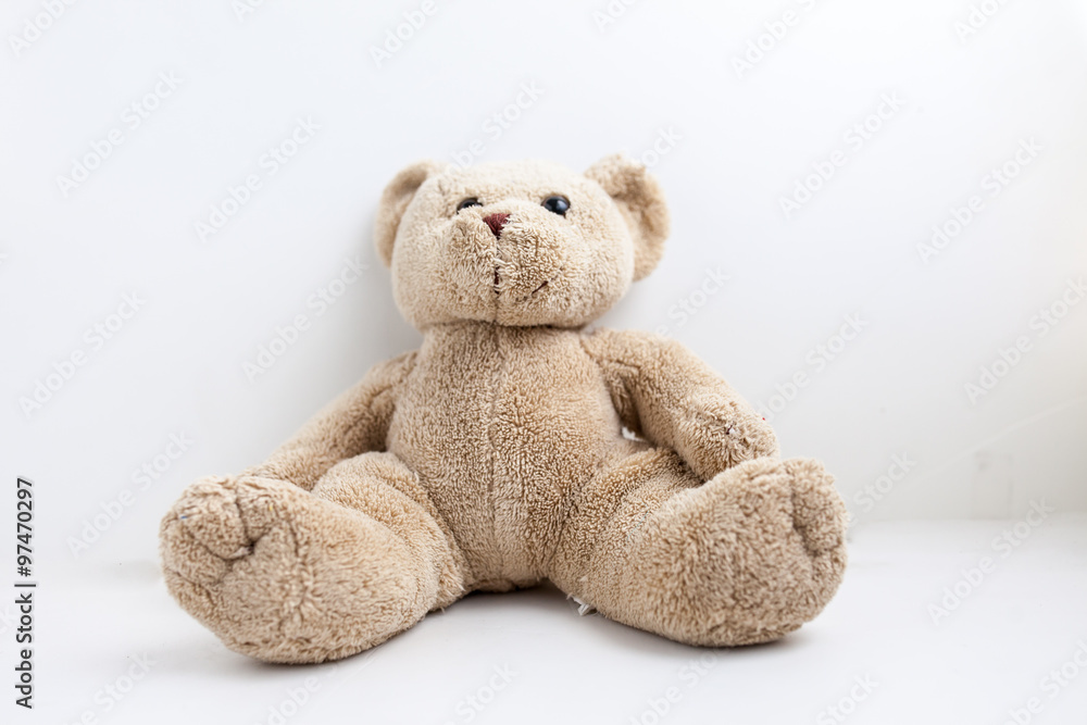 dolly bear on the white background dolly bear on the white background