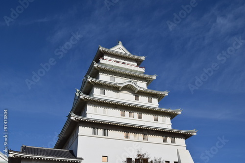 豊田城／茨城県常総市新石下にある、豊田城（地域交流センター）を撮影した写真です。天守閣の高さは48.5mです。展望室からは関東平野を一望でき、天気が良ければ東京スカイツリーも見ることができます。