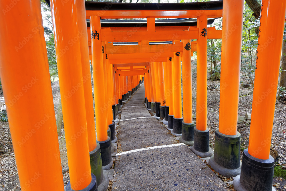 Fushimi Inari Shrine Torii in kyoto Japan