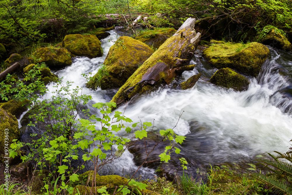 Fototapeta premium natural spring water