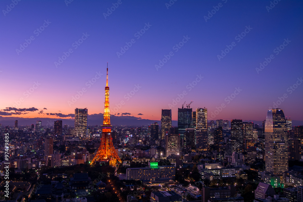 Panoramic view at Tokyo with Tokyo Tower