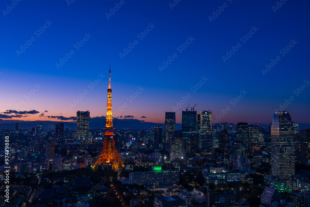 Fototapeta Panoramic view at Tokyo with Tokyo Tower