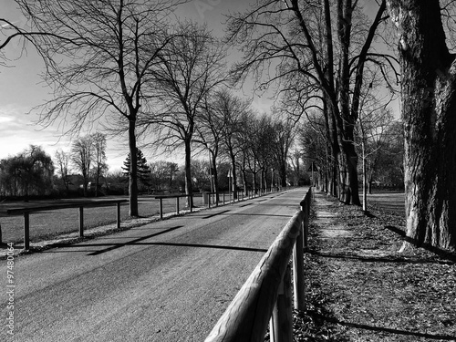 Allee 