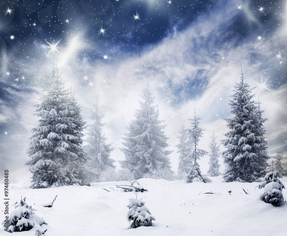 Naklejka premium Winter landscape with snowy fir trees