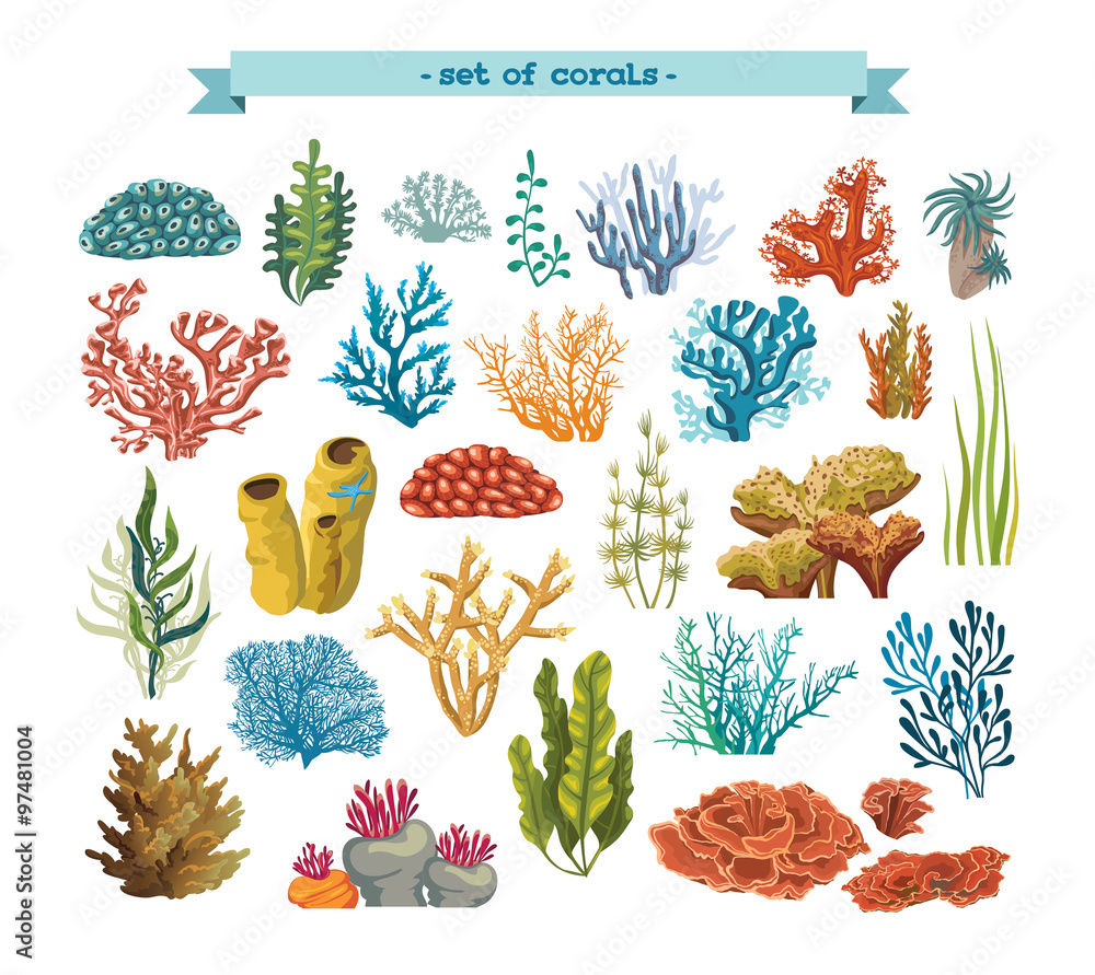 Naklejka premium Zestaw kolorowych korali i alg.