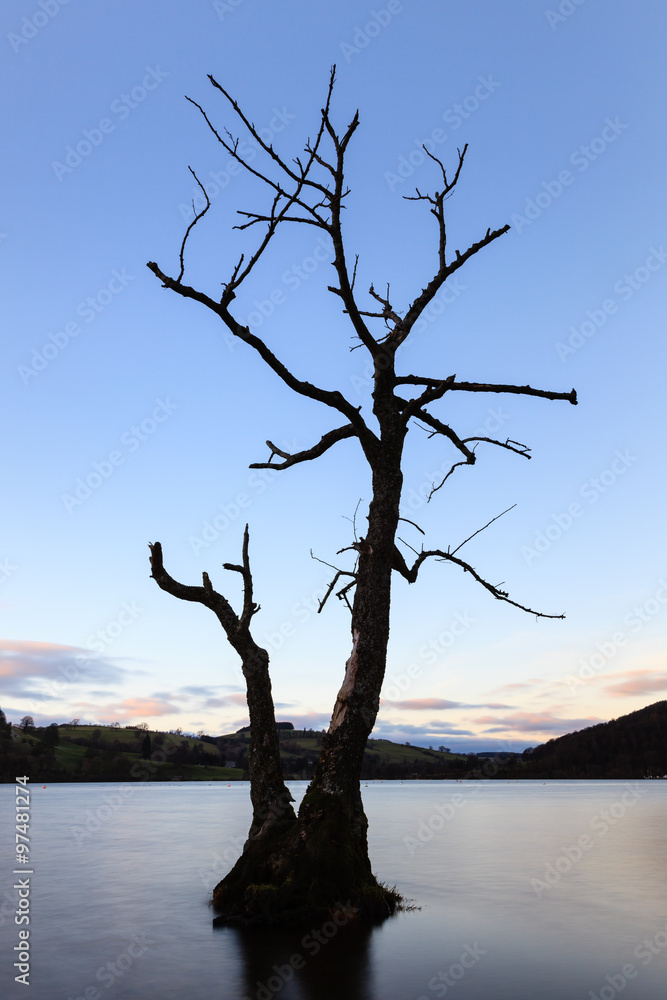 Winter Tree. A winter tree on the banks of Lake Ullswater in the English Lake District National Park. Winter Tree. A winter tree on the banks of Lake Ullswater in the English Lake District National Park.