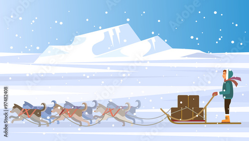 Musher and dog sled team. Vector flat illustration