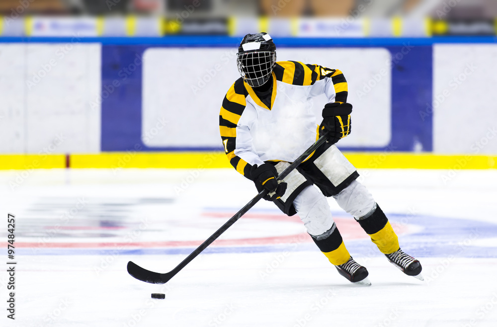 Naklejka premium Ice hockey player