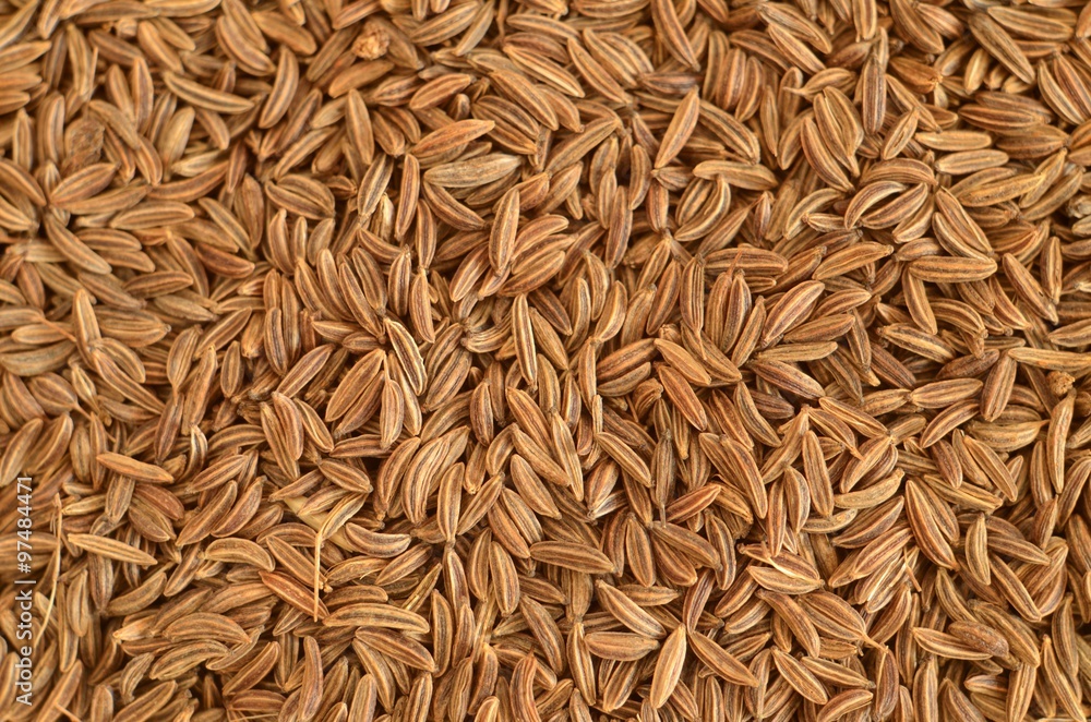 Caraway seeds spice detail macro texture background