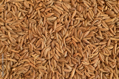 Schilderij op canvas Caraway seeds spice detail macro texture background