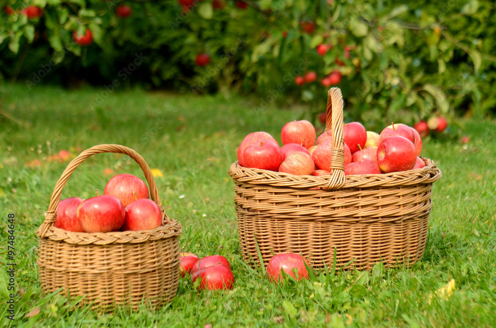 Two wicker baskets full of red apples Two wicker baskets full of red apples