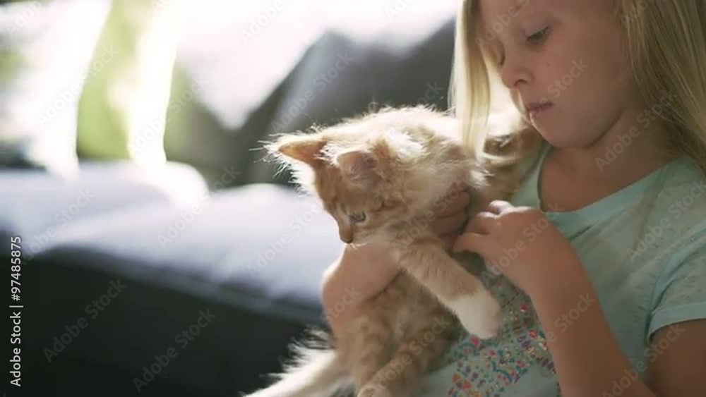 A little girl holding a kitten while it tries to escape A little girl holding a kitten while it tries to escape