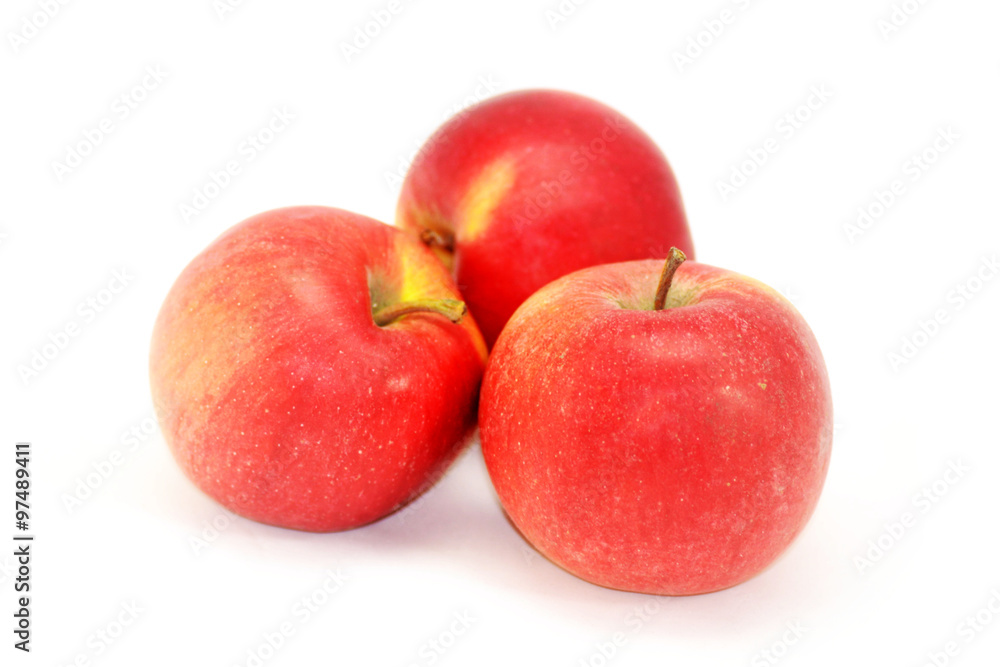 Apples on a white background