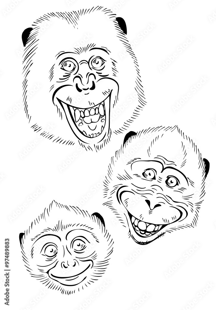 Obraz premium Funky Monkey, vector illustration