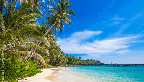 Fototapeta Naklejka Na Ścianę i Meble -  tropical beach.  sea and coconut palm.  Landscape of paradise tr