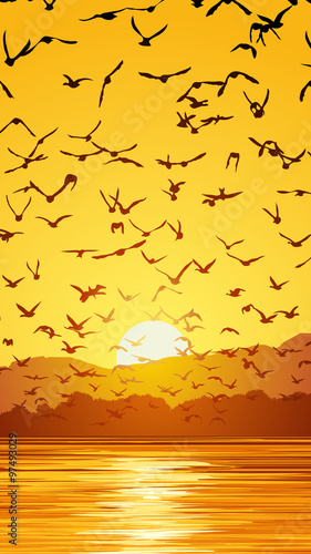 Fototapeta Naklejka Na Ścianę i Meble -  Vertical illustration flock of birds at sunset.