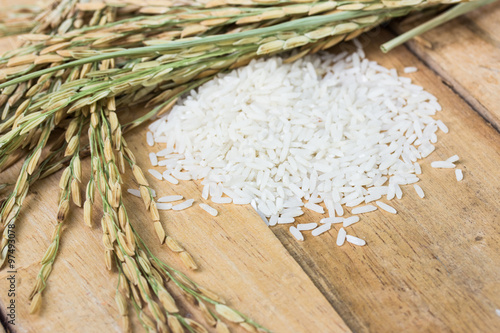 white rice and paddy pile on wood background