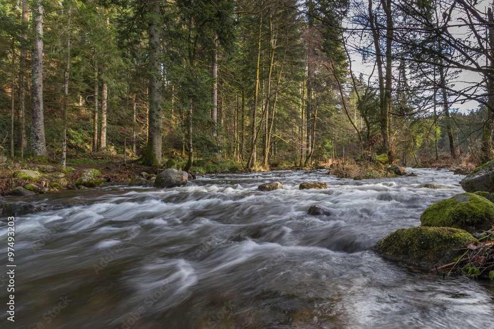 rivière des Vosges rivière des Vosges