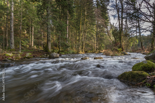 rivière des Vosges