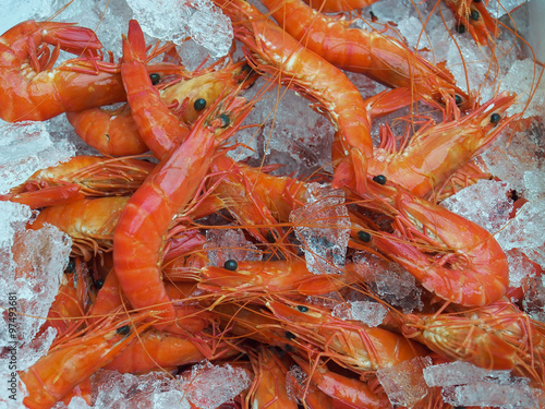 Photography Cooked Live Tiger Prawn on ice in Sydney Seafood Market