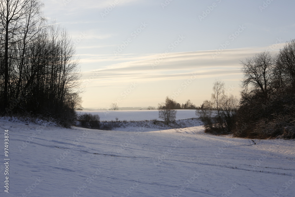 Obraz premium winter landscape