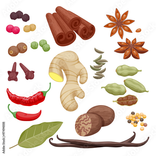 Spices and herbs icons set illustration.