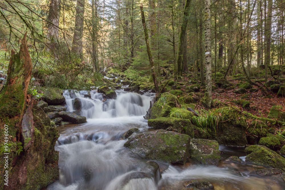 Ruisseau des Vosges