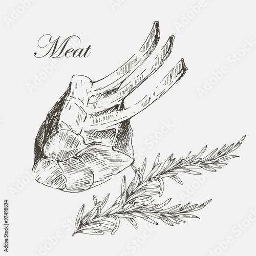 vector steak meat hand drawing with pepper and rosemary. detailed ink food illustration