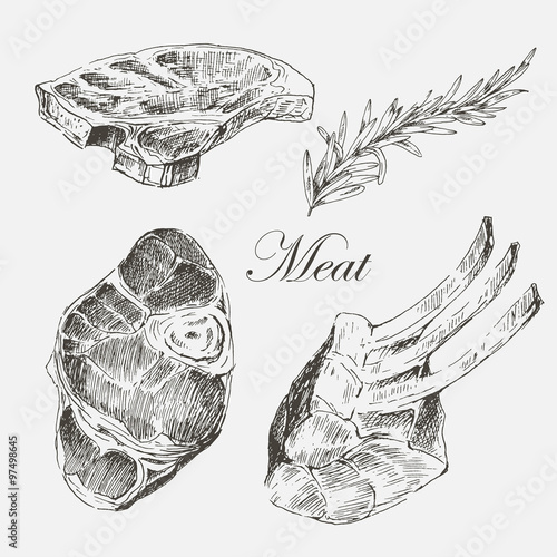 vector steak meat hand drawing with pepper and rosemary. detailed ink food illustration