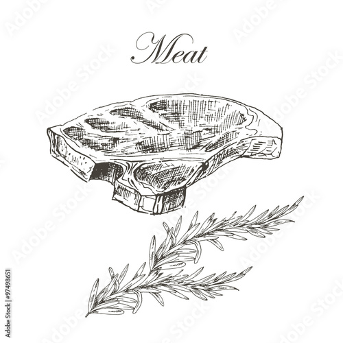 vector steak meat hand drawing with pepper and rosemary. detailed ink food illustration