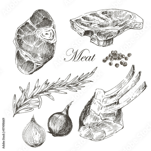 vector steak meat hand drawing with pepper and rosemary. detailed ink food illustration