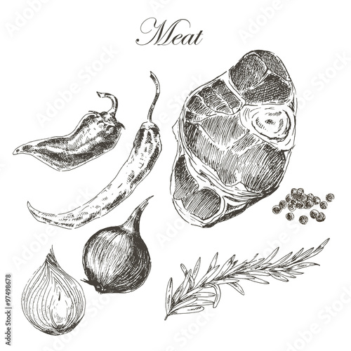 vector steak meat hand drawing with pepper and rosemary. detailed ink food illustration