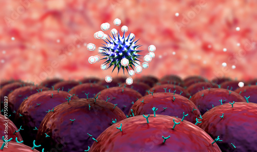 field of cells, field of cells with receptors, Human Immune System attack the virus photo