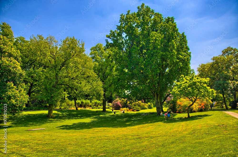 Green grass in a sunny park, Begren op Zoom, Holland, Netherla