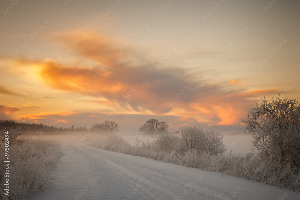 Scenic winter road