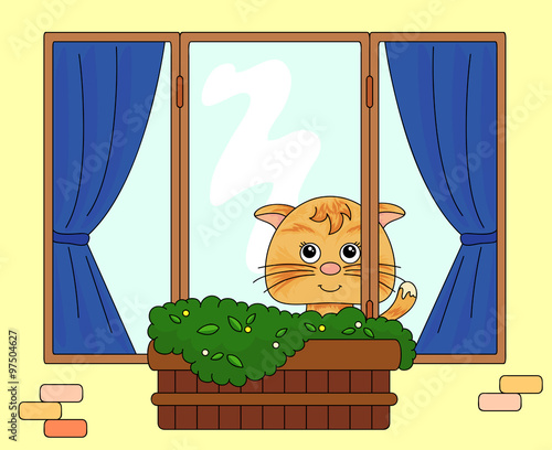 Cat sitting on the window with flower pots and curtains