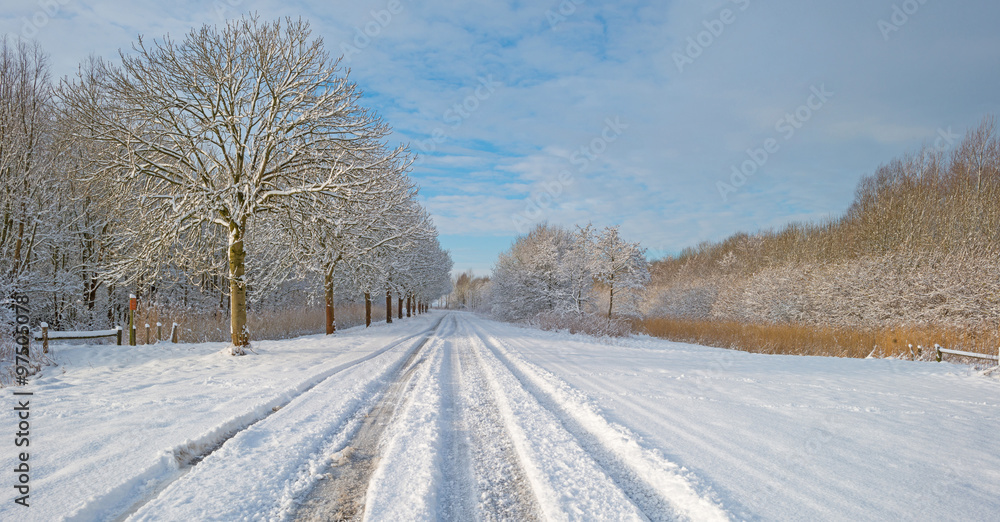 Obraz premium Snowy road through the countryside in winter