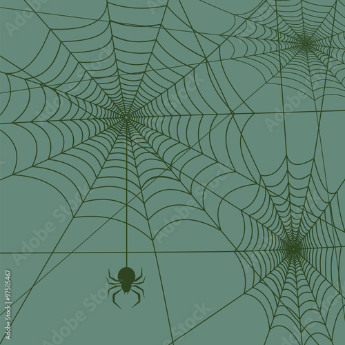 spider web vector
