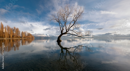 Samotne drzewo, jezioro Wanaka, Nowa Zelandia.