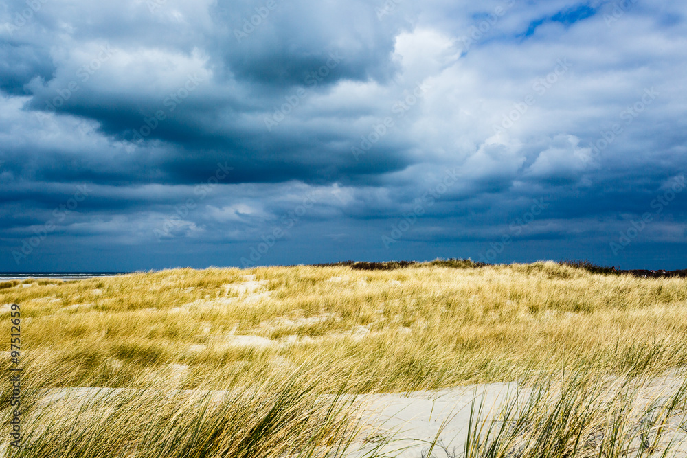 Dünenlandschaft auf Langeoog