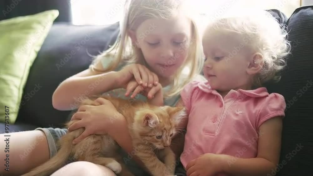 A little girl helps her younger sister pet a kitten A little girl helps her younger sister pet a kitten