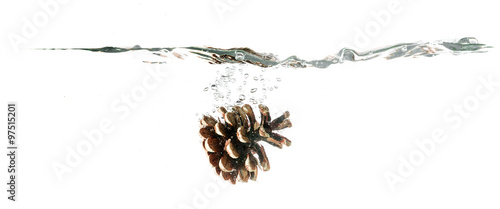 Pine cone splash on water, isolated on white background